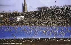 waders over basin